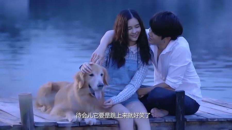 雕和鹰的区别在哪里-专业问答平台,汇集知识智慧